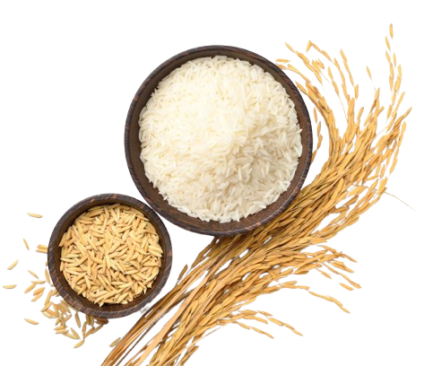 6bd0212e55 removebg preview